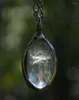 Цепочки, модное ретро-ожерелье с семенами одуванчика и овальным временем, стеклянное ожерелье с драгоценными камнями