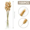 Decorative Flowers 100pcs Natural Dried Bouquet Tails Grass Wedding Party Decoration Fluffy Mix Pampas Lagurus Ovatus Boho Home Decor