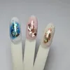 Decorazioni nail art Foglio di conchiglia di abalone irregolare 12 GridBox Fascino naturale 3D Paillettes lucide ergonomico 231121