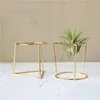 Newly Flower Pot Geometric Metal Rack Plant Care Display Holder Stand Garden Decor Y0314244Z