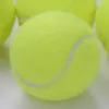 Tennisballen 1Pc Hoge Elasticiteitsbestendige Rubberen Tennistraining Professionele Spelbal Sport Massagebal Tennis Rubberen Tennisbal 231122