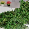 300g sac garder au sec vraie mousse verte plantes décoratives vase gazon artificiel accessoires de fleurs en soie pour décoration de pot de fleurs 216Q