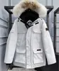 Kanadalı Kaz Down Ceketler Kış Ceketler Kalın Sıcak Erkek Giysileri Açık Moda Çift Canlı Goode Ve Canda Kaz Ceket 2 8K85