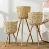 Golvvas Plant Stand Wickerwork Flower Pot Holder Display Potted Rack Rustic Decor T200104261V