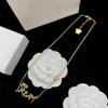 Vintage Designer Necklaces Luxury Fashion Womens Necklace Gold Pendant Earring Bracelet Letter Colorful Bracelet For Women Jewelry Set