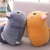 漫画猫のぬいぐるみ人形kawaiiかわいい柔らかい猫のぬいぐるみのぬいぐるみおもちゃ枕