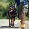 Beschermende schoenen voor huisdieren 4-delige set Hondpootbeschermer Laarzen Waterdichte regen Winter Sneeuw Puppy Sok met antislip Zacht Wandelen en hardlopen 231122