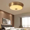 Ceiling Lights Modern Lamp 13 Inch Flush Mount LED Light Fixture For Living Room Bedroom Balcony Bathroom Kitchen Stairwell