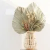 10pcs lot Real Cattail Fan preserved Dry Natural Fresh Palm leaves Forever plant material for home Wedding Decoration C09303002