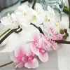 Flores decorativas extra grande traça orquídea sentir sobre o gel hidratante casamento falso flor artificial decoração para casa plantas