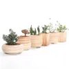 SUN-E 6 in Set 3 Inch Ceramic Wooden Pattern Succulent Plant Pot Cactus Plant Pot Flower Pot Container Planter Gift Idea Y200723282w