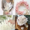 Decorative Flowers 100pcs Natural Dried Bouquet Tails Grass Wedding Party Decoration Fluffy Mix Pampas Lagurus Ovatus Boho Home Decor