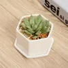 Pots de bonsaï en céramique, mini pots de fleurs en porcelaine blanche, fournisseurs pour semis de succulentes jardinières de pépinière d'intérieur, DBC BH4294C