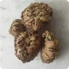 5 dried flowers magic green plant rose plant air fern selaginella immortal grass home party decoration 210624196S