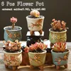 Ceramic Flower Pot Succulent S Cactus S Planter Garden S Outdoor Home Decoration Windows Bill Y200723278H