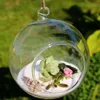 Kulca kula kształt wiszący szklany szklany wazon rośliny kwiatowe terrarium pojemnik mikro krajobraz DIY Wedding Dom Dekoracja wazę 2683