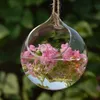 Bola globo forma clara pendurado vaso de vidro flores plantas recipiente terrário micro paisagem diy casamento decoração para casa Vases286b