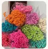 Bouquets de fleurs décoratives gypsophile éternelles, pour la maison, mariage, magasin, décoration blanche, haute qualité, séchée, pour petite amie et maman
