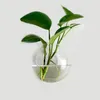 Vases 2pcs / Set Pot de fleur suspendu Vase à boule de verre Terrarium Mur Fish Tank Aquarium Conteneur Homw Decor226y