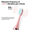 Brosse à dents Brosse à dents électrique pour enfants Sonic Oral Care Kids Ultrasonic Soft Cartoon Nettoyant pour dents Ipx6 Étanche 4 Mode USB 230421