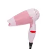 Other Massage Items Mini Professional Hair Dryer Collecting Nozzle 220V US Plug Foldable Travel Household Electric Blower 230906