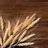 Decorative Flowers 50PCS Dried Wheat Ear Flower Natural For Wedding Party Decoration DIY Craft Scrapbook Artificial