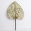 Dekorativa blommor 1pc Natural Dried Palm Leaves Fan Heart Round Form for Wedding Home Party Kitchen Vase Table Arrangements Anniversary