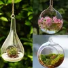 ボールグローブシェイプ透明な吊りガラス花瓶の花の植物テラリウムコンテナマイクロランドスケープDIYウェディングホームデコレーションVase261f