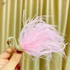 Broches moda coreana zircão flamingo broche simulação pena roupas macias atmosféricas criativo animal pinos acessórios femininos