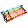 Hundehalsbänder Leinen Led Hundehalsband Licht Antilost Halsband Für Hunde Welpen Nachtleuchtende Lieferungen Haustierprodukte Zubehör USB Ladebatterie 230422