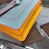 L'ultima borsa macaron primaverile ed estiva con testa di serpente a doppio strato in colore limitato sul bancone, esclusiva personalizzazione in pelle di vitello