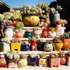 Ceramic Flower Pot Succulent S Cactus S Planter Garden S Outdoor Home Decoration Windows Bill Y200723251A