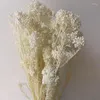 Decorative Flowers 60g/Length 40-45CM Natural Fresh Ramillete Flores Eternell Millet Flower Beauty Forever Bouquet For Bridal Wedding Bouqu