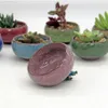 12pcs don-crack seramik saksı sulu bitkiler için ekiciler mini bonsai potu ev bahçe dekorasyon etli bitki kapları gyh y200267p
