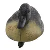 Spela samtal 6 PCS 3D Duck Decoy Floating Lure med köl för utomhusjaktfisketillbehör Realistisk fågel flyter på vattnet 231122