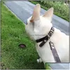 Hundhalsar Leases Leather Dog Collar för små medelstora hundar Justerbar mjuk andningsbar vadderad valpkrage med legeringspänne Heavy Dhrby