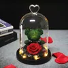 Evig bevarad färsk ros Lovely Neddy Bear Gjutning LED -ljus i en kolv Immortal Rose Valentine's Day Mors dag G2403
