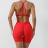 Conjuntos ativos de treino feminino lycra ginásio conjunto feminino roupa esportiva push up roupas esportivas yoga duas peças sutiã shorts sportwear vermelho azul