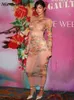 Robe Maxi transparente en maille imprimé floral pour femmes, Sexy, col rond, manches longues, moulante, été, soirée, boîte de nuit