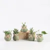 5 datorer Set Creative Ceramic Owl Shape Flower Pots Planter Desk Söt design Succulent Y200723336Q