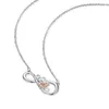 Pingentes Rose Bee Honeycomb Infinity Colar Jóias Mulheres 925 Sterling Silver Zircon Pingente