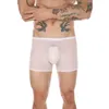 Cuecas sexy homens ver através boxer ultra-fino malha briefs baixo aumento bolsa calcinha leve respirável lingerie gay roupa interior erótica