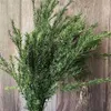 30-45 CM 70 g Real Seco Natural preservado Melaleuca Hierba eterna decorativa Plantas secas siempre frescas para decoración navideña 2110325k