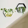 Wall Mounted Hanging Plant Pot Balcony Planter Basket Flower Garden Hanging Scindapsus Planter Supply Plants Racks Home Decor Y200277d