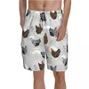 Men's Shorts Colorful Chicken Board Farm Animal Print Classic Short Pants Male Printing Oversize Swim Trunks Birthday PresentMen's