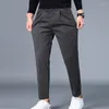 Pantalons pour hommes automne hiver hommes laine décontracté mode coréenne simplicité affaires pantalons chauds mâle épais beau droit