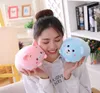 Plush Dolls 30CM Soft Animal Cartoon Pillow Cushion Cute Fat Dog Cat Totoro Pig Frog Toy Stuffed Lovely kids Birthyday Gift 230421