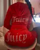 Juicy Velvet outfit kvinnor saftig träningsdräkt saftig långärmad höst sport slitage slim casual kvinnliga träningsdräkter huva krage jogging sportkläder kostym storlek XS-3XL