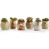 1 stks mooie keramische mini pot bureau planter voor vetplant bonsai bloem cactus uil pot cadeaus voor vrouwen meisjes jongens kinderen Y0314247g