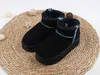 Ultra Mini Boot Designer Femme Plateforme Bottes de neige Australie Fourrure Chaussures chaudes Véritable Cuir Châtaigne Cheville Moelleux Bottines Pour Femmes tazz t64